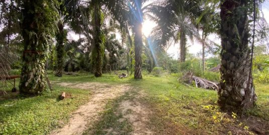 2 EKAR TANAH PERTANIAN RANCANGAN TANAH BELIA SG LEMBING