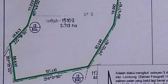 TANAH PERTANIAN 6.7 EKAR UNTUK DIJUAL DI SIMPANG KOTA GELANGGI (TEPI JALAN UTAMA JERANTUT – MARAN)