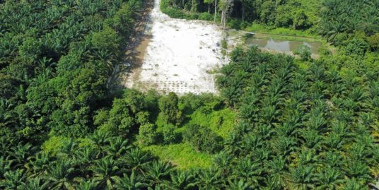 [FREEHOLD] TANAH UNTUK DIJUAL BERDEKATAN SERI MAHKOTA MUKIM KUALA KUANTAN UNTUK DIJUAL