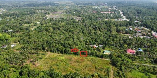 Tanah Untuk Dijual Kubang Ikan Cherating Mukim Sungai Karang Kuantan