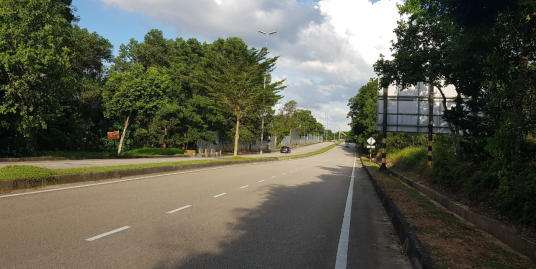 Tanah Commercial Kg. Pulau Danga, Mukim Pulai Johor Bahru