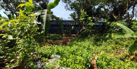 TANAH PERTANIAN BUKIT GOH KUANTAN