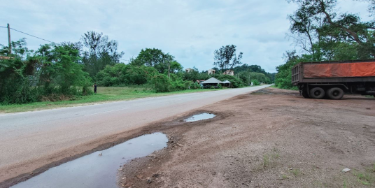[ LALUAN PELABUHAN DEPAN PANTAI ] Tanah Pertanian Pengorak Mukim Sungai Karang Berdekatan Pelabuhan Gebeng Kuantan