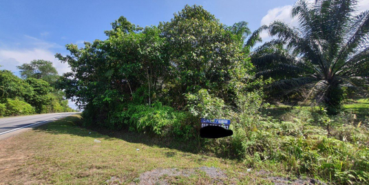 [ TANAH MURAH TEPI JALAN UTAMA ] Tanah Pertanian Sawit RTK Bukit Sagu