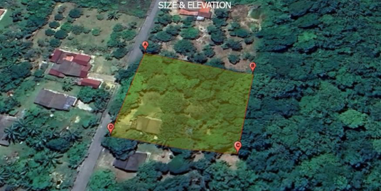 [ FREEHOLD TITLE KEBUN TANAH PERTANIAN ] Tanah Pertanian Bukit Kuin