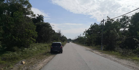 Tanah Status Pertanian Mukim Banggul Bukit Gesari Kemaman