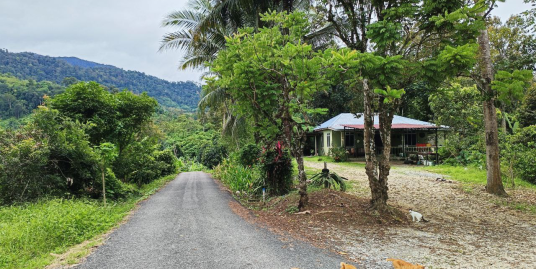 Tanah Dusun Durian & Buah Buahan Ulu Dong Raub
