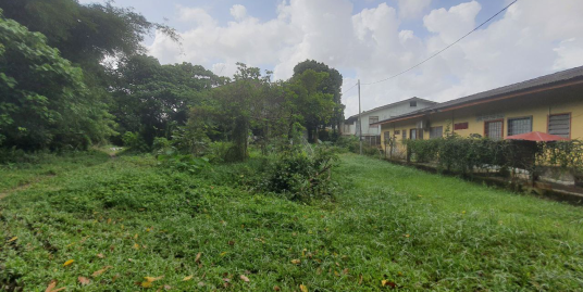 TANAH PERTANIAN MUKIM PADANG BONGOR KOTA BHARU