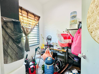 Teres_azalea1_kotasas_12