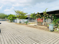 Teres_azalea1_kotasas_13