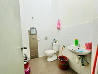 Teres_azalea1_kotasas_7