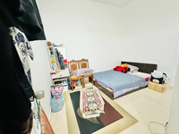 Teres_azalea1_kotasas_8