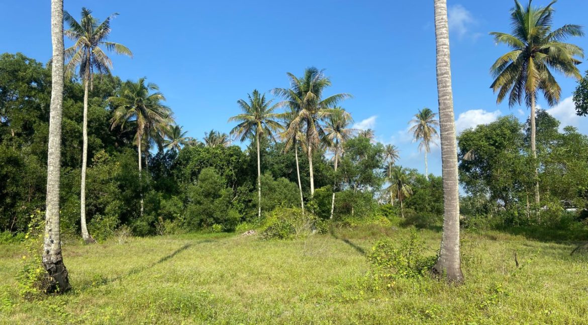 TANAH PERTANIAN 3.075 EKAR LOT PERTAMA DI PANTAI SUNGAI ULAR KUANTAN 1