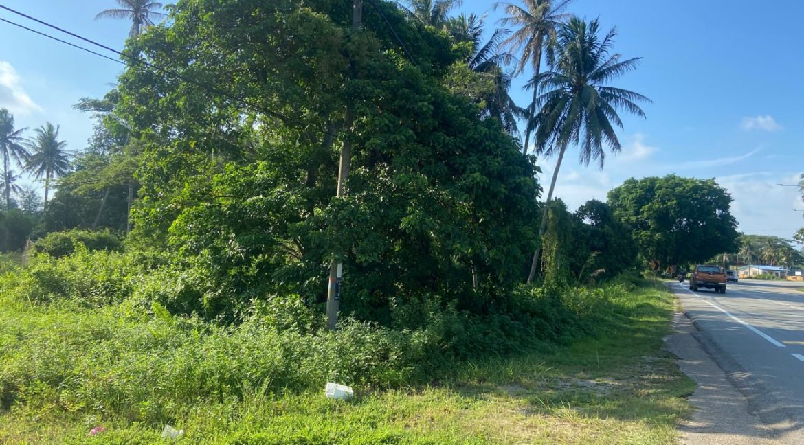 TANAH PERTANIAN 3.075 EKAR LOT PERTAMA DI PANTAI SUNGAI ULAR KUANTAN 3