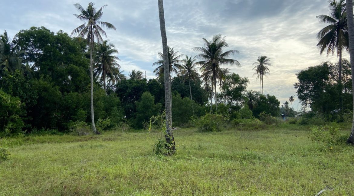 TANAH PERTANIAN 3.075 EKAR LOT PERTAMA DI PANTAI SUNGAI ULAR KUANTAN 4