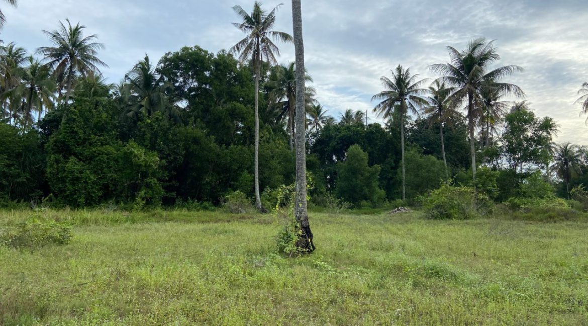 TANAH PERTANIAN 3.075 EKAR LOT PERTAMA DI PANTAI SUNGAI ULAR KUANTAN 6