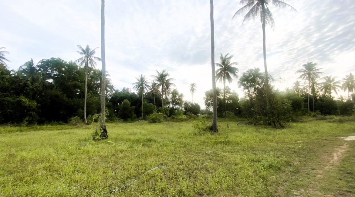 TANAH PERTANIAN 3.075 EKAR LOT PERTAMA DI PANTAI SUNGAI ULAR KUANTAN 7