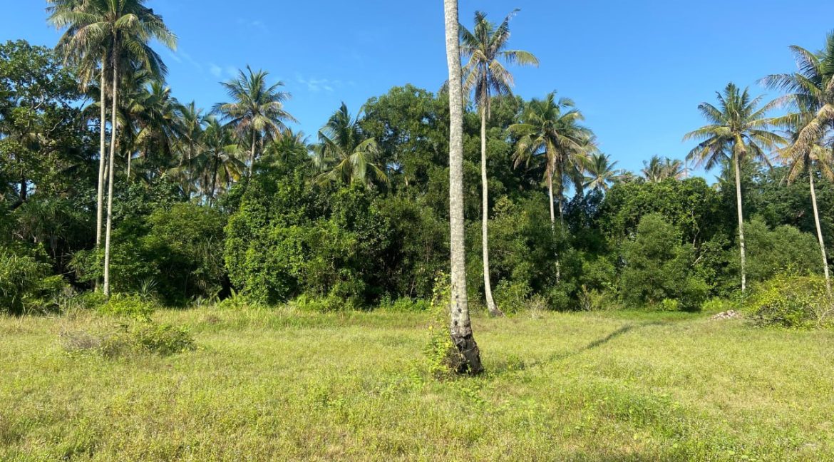 TANAH PERTANIAN 3.075 EKAR LOT PERTAMA DI PANTAI SUNGAI ULAR KUANTAN 8