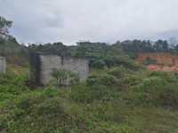 Tanah_pertanian_balok_kuantan_3