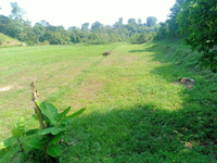 Banglo_aspa_cottage_kuantan_14