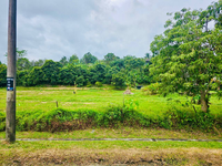 Banglo_aspa_cottage_kuantan_8