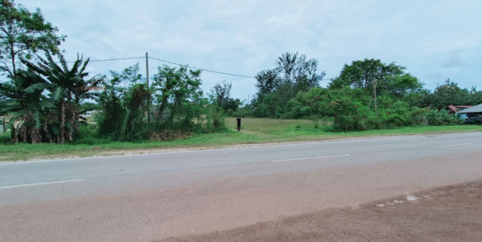 Tanah Pertanian Pengorak Mukim Sungai Karang Kuantan