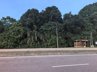 Tanah_meraga_beris_kijal_terengganu_6